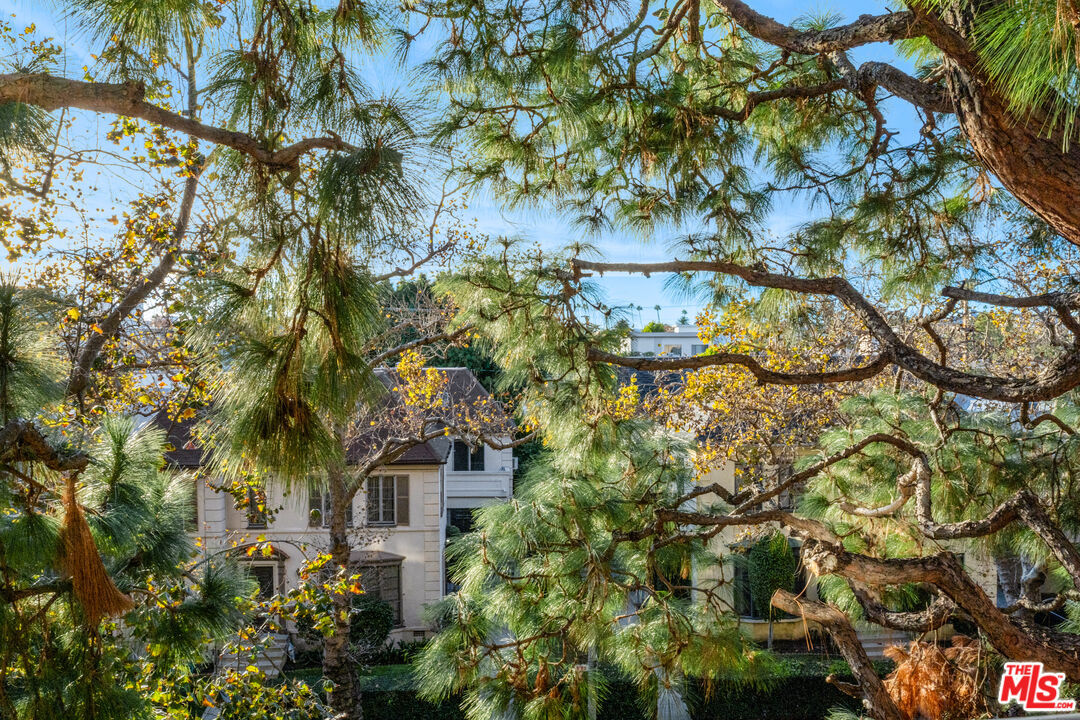 Treetop and tile-roof view from the residence's terrace at golden hour.