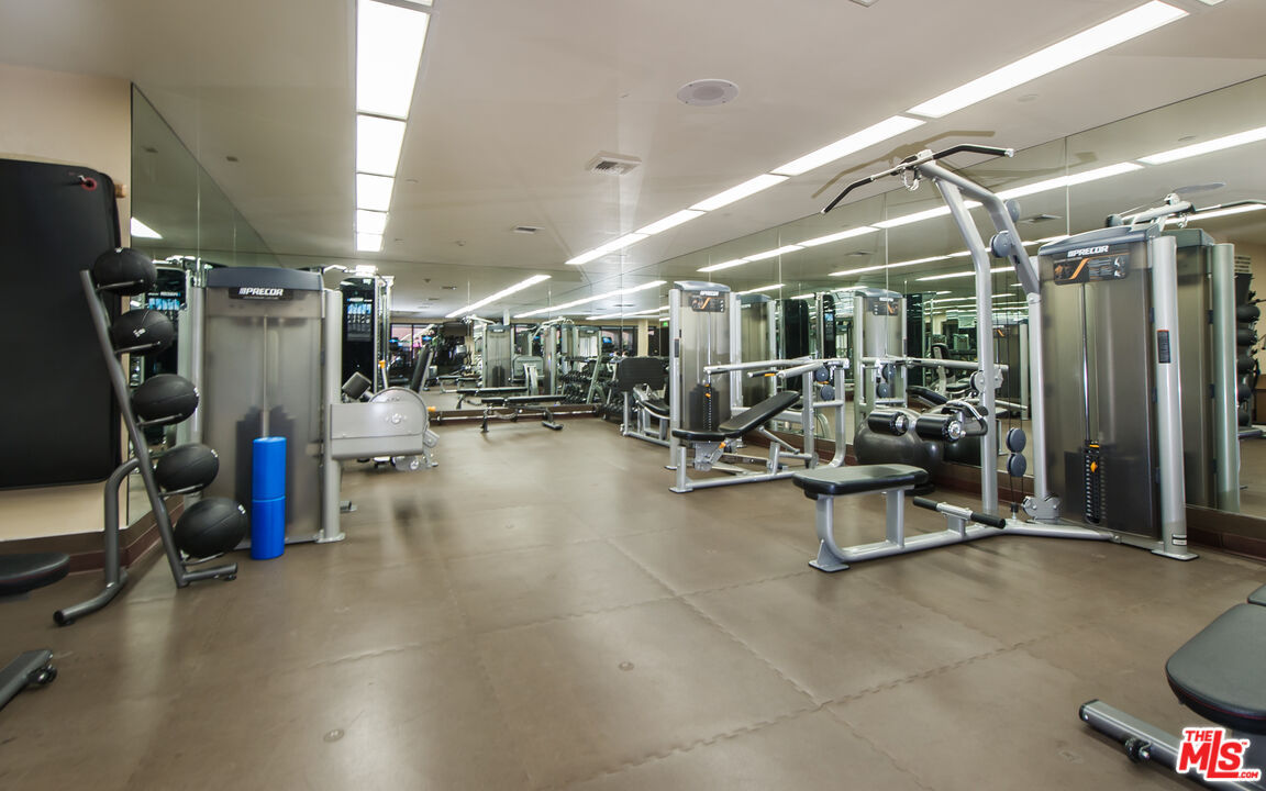 The Somerset's residents' fitness room with mirrored walls and Precor strength equipment.